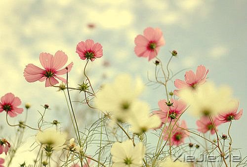 如果我不这么在乎，生活会简单得多 (12)